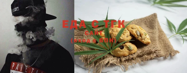 хмурый Алексин