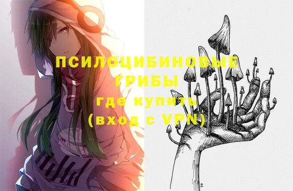 хмурый Алексин