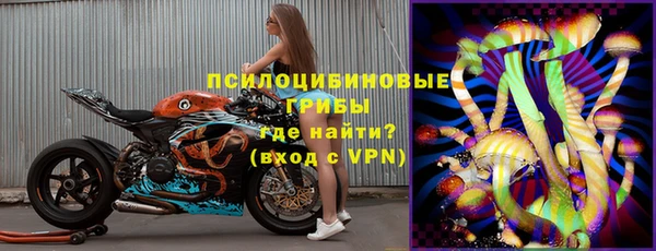 хмурый Алексин