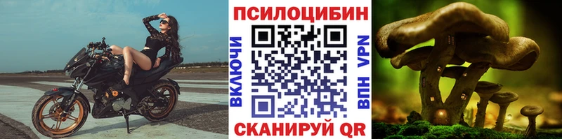 KRAKEN ссылка Балабаново Псилоцибиновые грибы мицелий